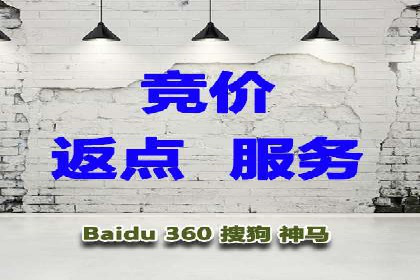 行业精英的SEM竞价经验与案例分享